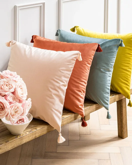 Coussins & accessoires