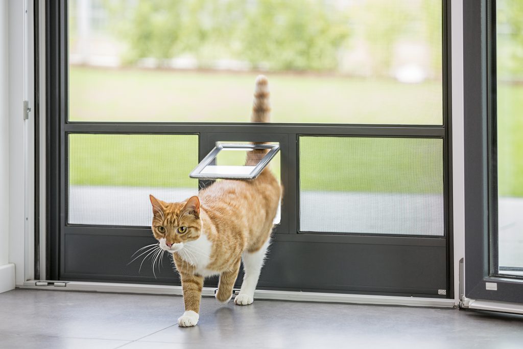 Katzen- und kleine Hundeklappe im Fliegengitter integriert