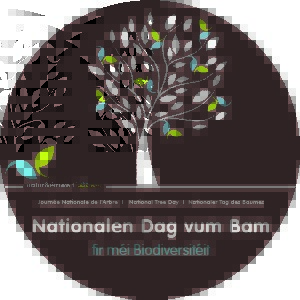 Nationalen Dag vum Bam