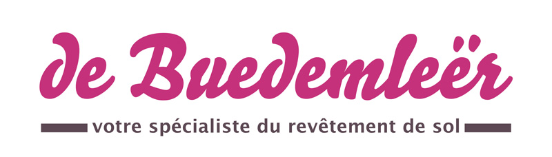 Évolution du logo de de Buedemleër